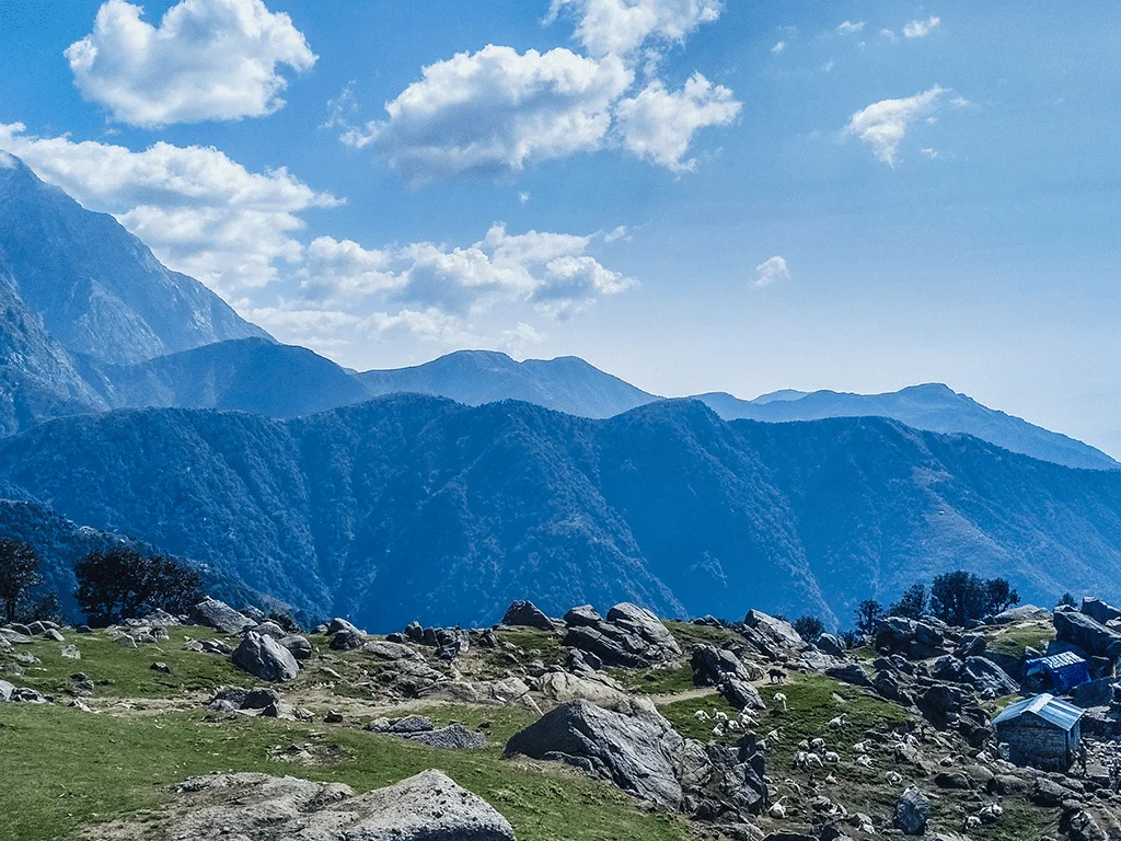 Dalhousie Package
